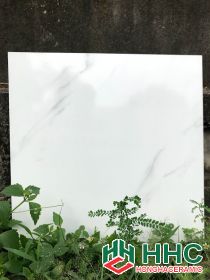 Gạch lát nền 50x50 KA1704